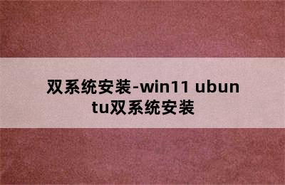 双系统安装-win11 ubuntu双系统安装